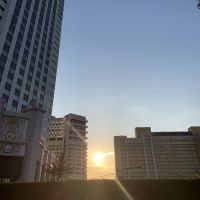 合格者画像