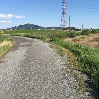 合格者画像