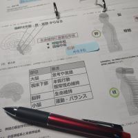 合格者画像
