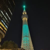合格者画像