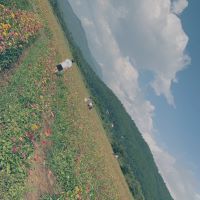 合格者画像