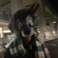合格者画像
