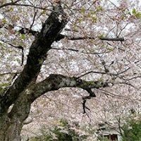 合格者画像
