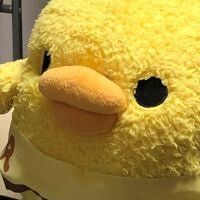 合格者画像