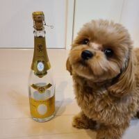 合格者画像