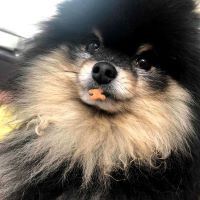合格者画像