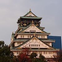 合格者画像